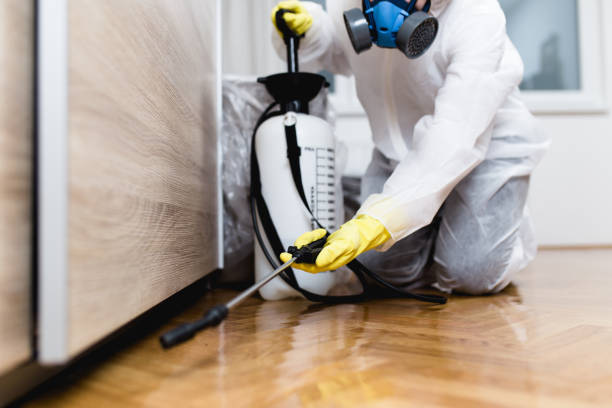 Best Mosquito Control Services  in Mayfair, CA