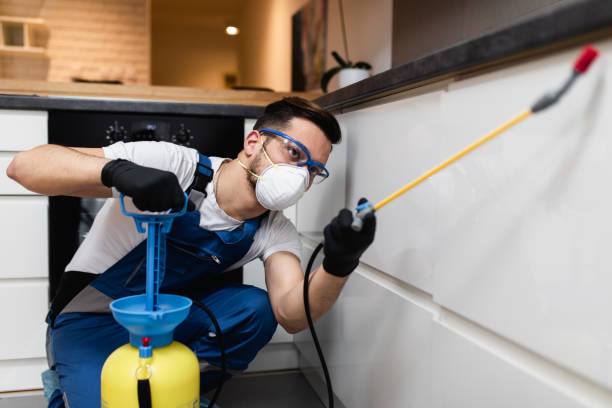 Best Ant Control Services  in Mayfair, CA