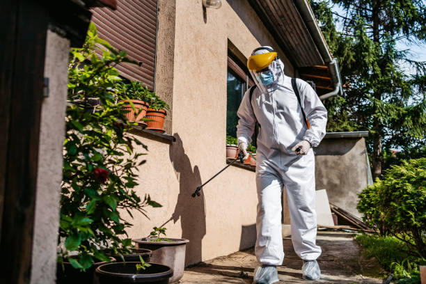 Best Flea Control Services  in Mayfair, CA