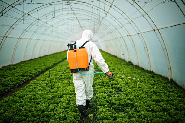 Best Ant Control Services  in Mayfair, CA