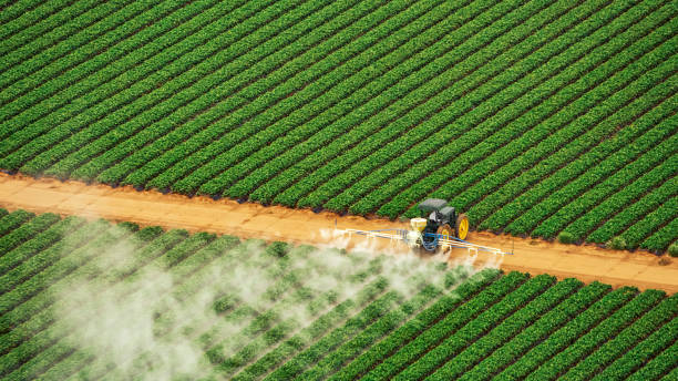 Best Pest Removal Services  in Mayfair, CA