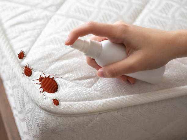 Best Best Pest Control Companies  in Mayfair, CA
